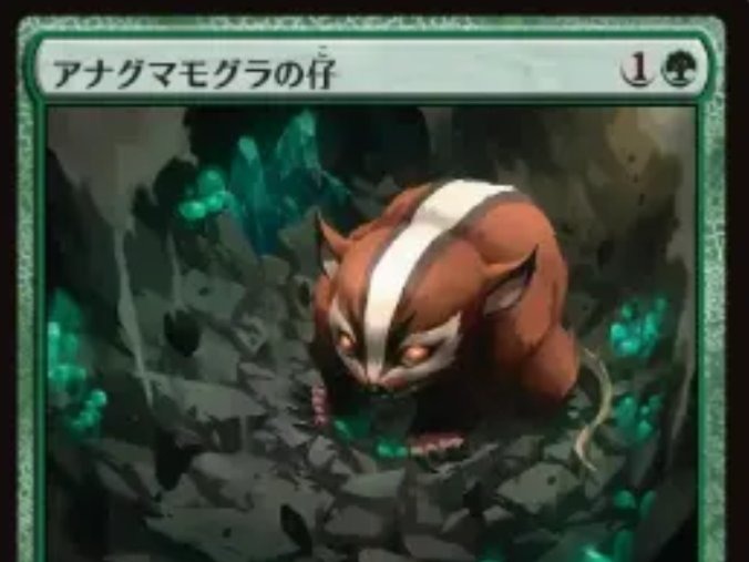 カードボックス福山店‐MTG高価買取更新！！アナグマで不毛連打は法に